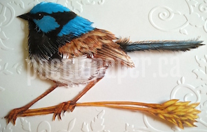 closeup view of greeting card