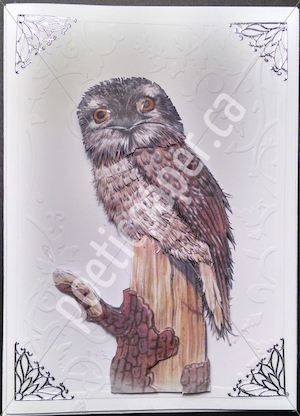 owl greeting card