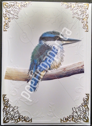 splendid fairy wren greeting card