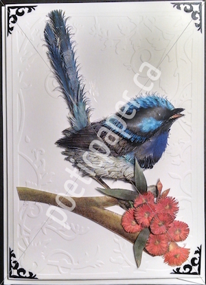 superb fairy wren greeting card