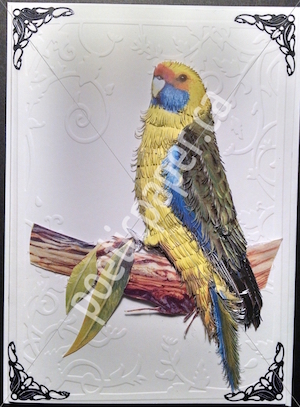 yellow rosella greeting card